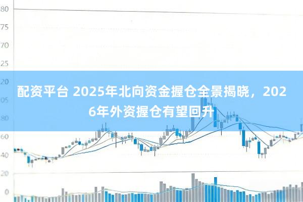 配资平台 2025年北向资金握仓全景揭晓，2026年外资握仓有望回升
