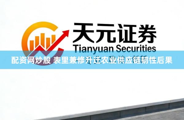 配资网炒股 表里兼修升迁农业供应链韧性后果