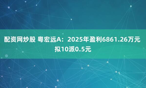 配资网炒股 粤宏远A：2025年盈利6861.26万元 拟10派0.5元